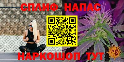гашик Канаш
