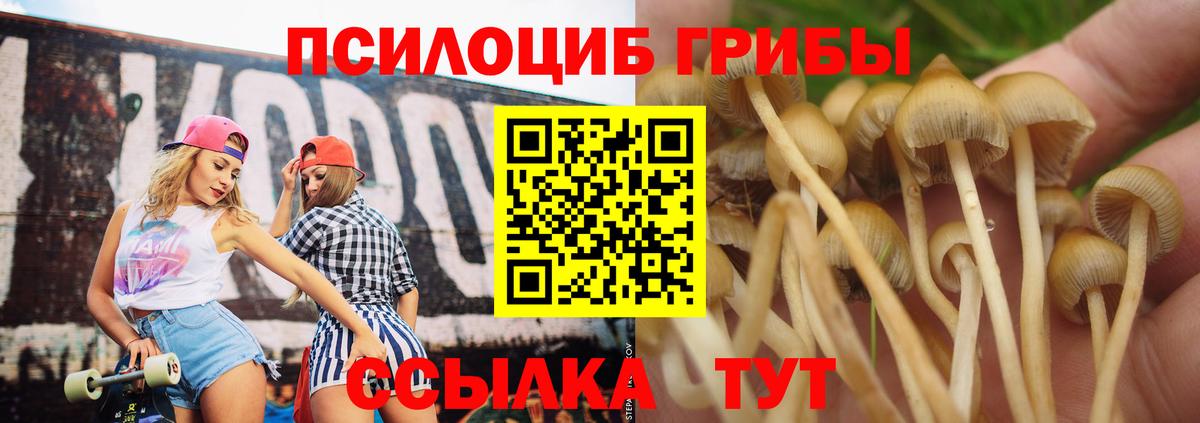 Галлюциногенные грибы ЛСД  Вход с VPN  Дедовск  Псилоцибиновые грибы Cubensis 